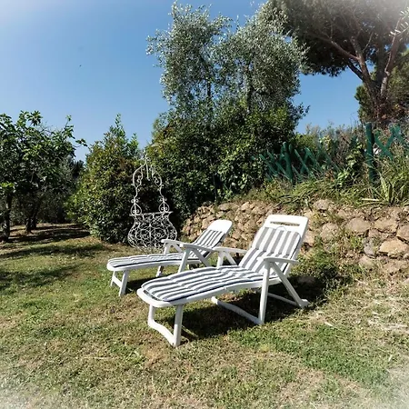 Il Gelsomino Con Piscina * Pisa
