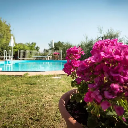 Ferienhaus Il Gelsomino Con Piscina